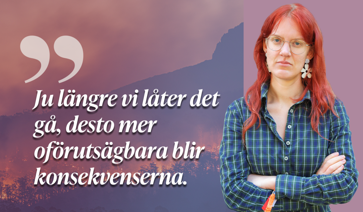 Sommaren 2026 var den kallaste i resten av ditt liv