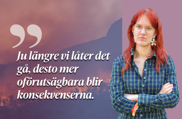 Sommaren 2026 var den kallaste i resten av ditt liv