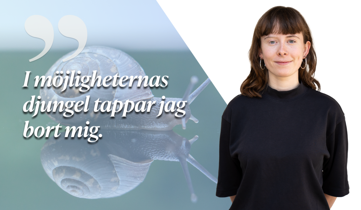 Myror i brallan och sniglar på köksgolvet