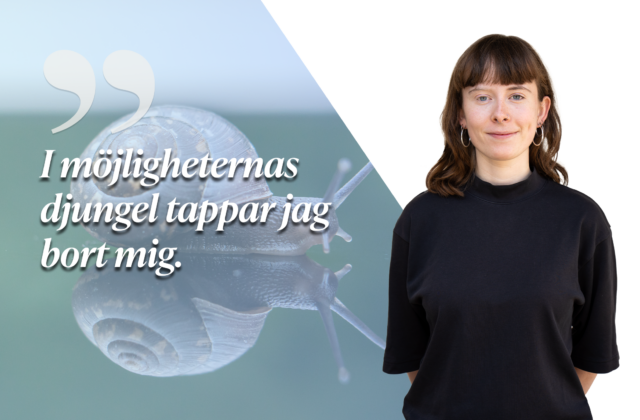 Myror i brallan och sniglar på köksgolvet