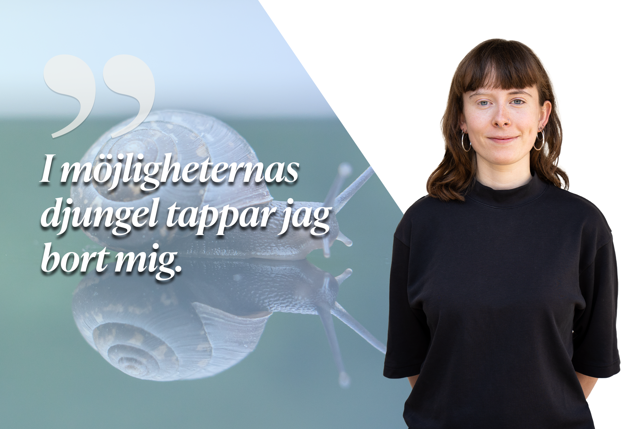 Myror i brallan och sniglar på köksgolvet