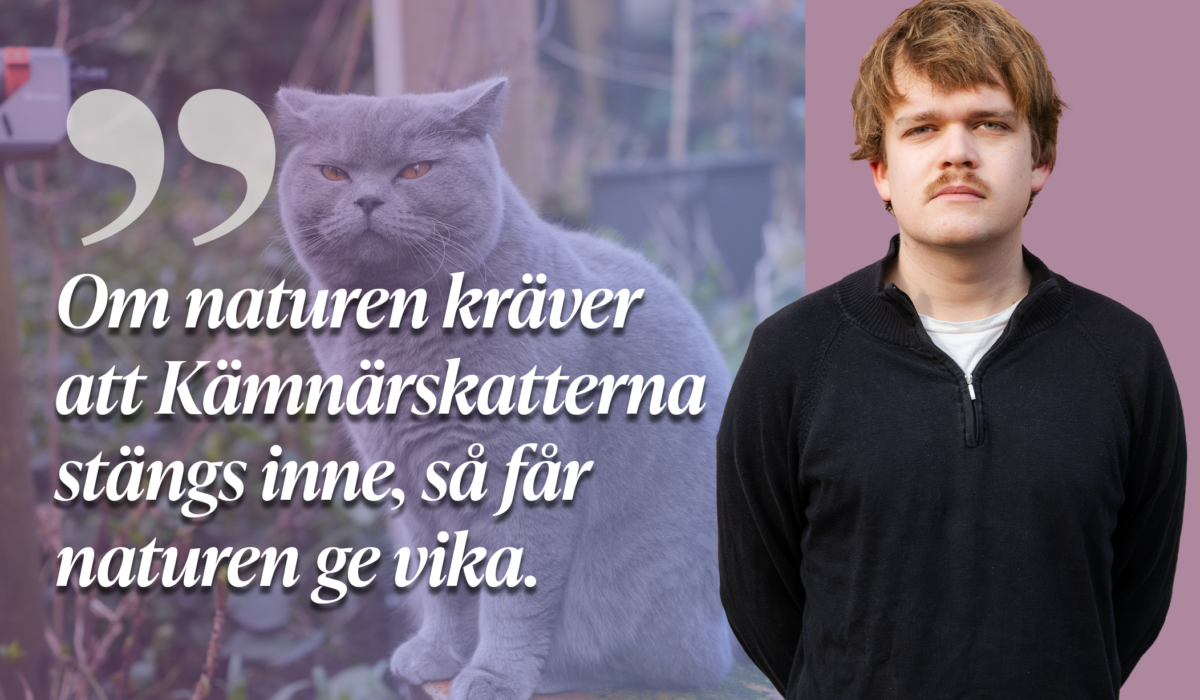 Hellre Kämnärskatter än natur