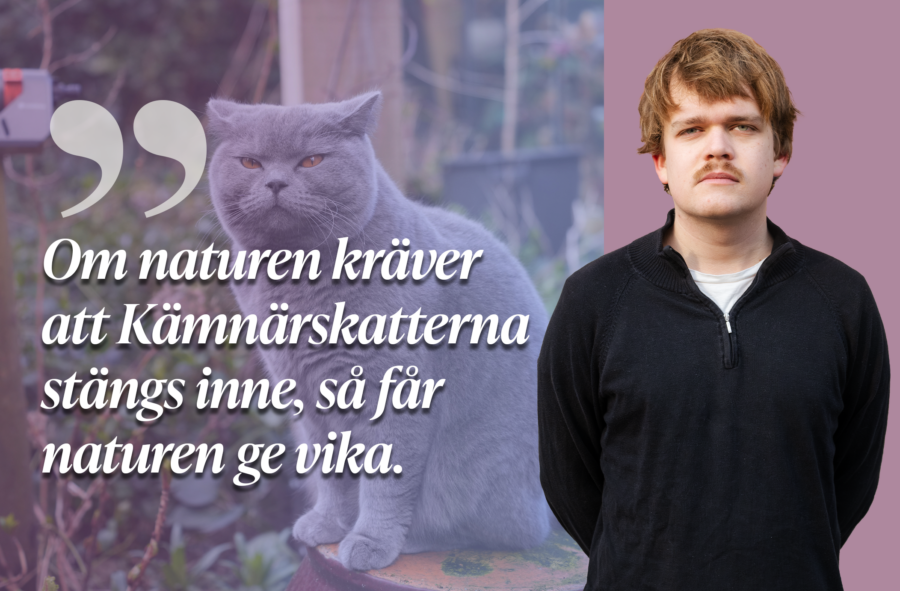 Hellre Kämnärskatter än natur